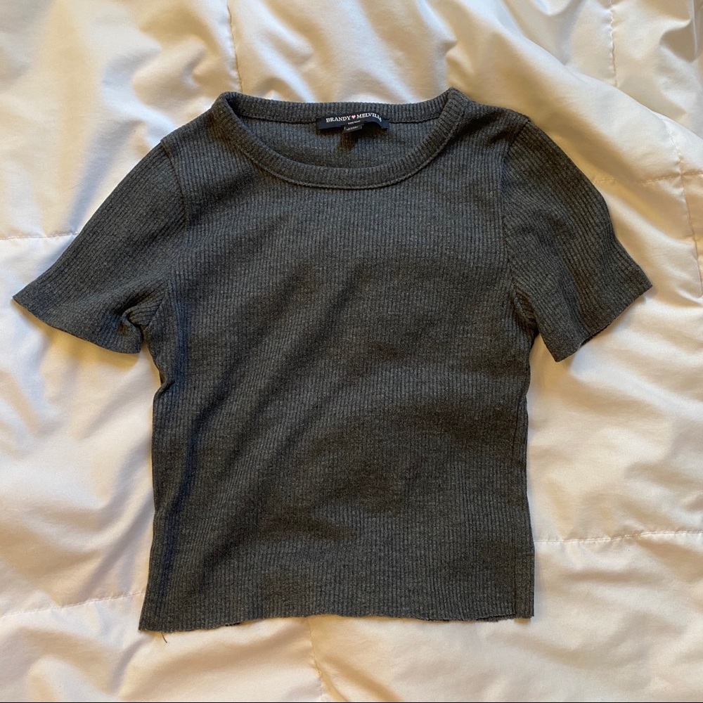 Brandy Melville Gray Crop Top